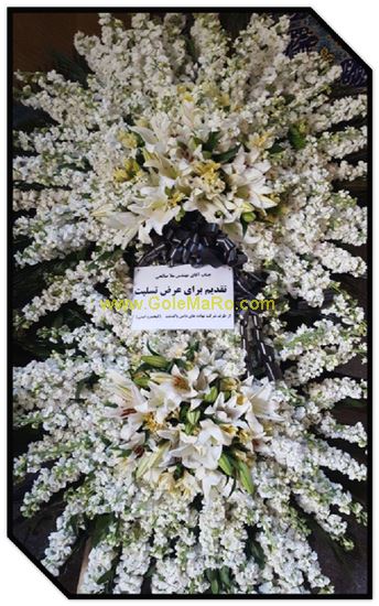 تصویر تاج گل 244