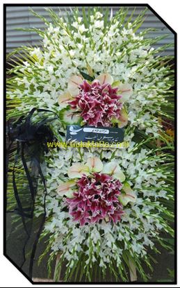 تصویر تاج گل 245