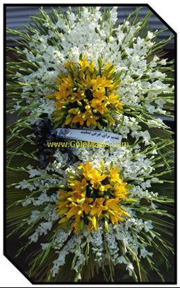 تصویر تاج گل 246