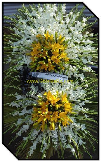 تصویر تاج گل 246