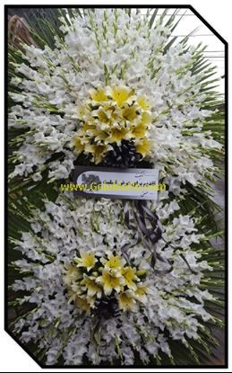 تصویر تاج گل 247