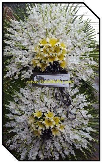 تصویر تاج گل 247