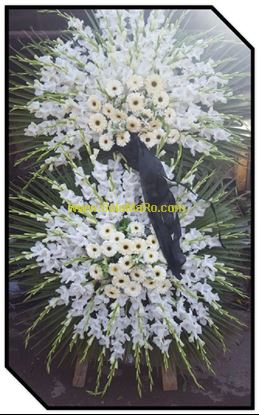 تصویر تاج گل 248