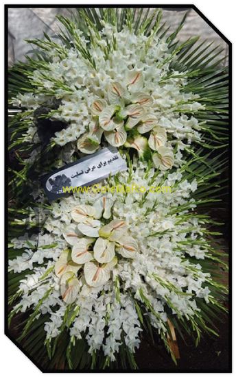 تصویر تاج گل 249