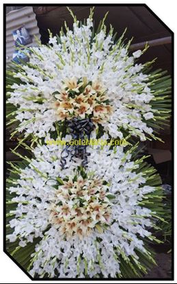 تصویر تاج گل 250