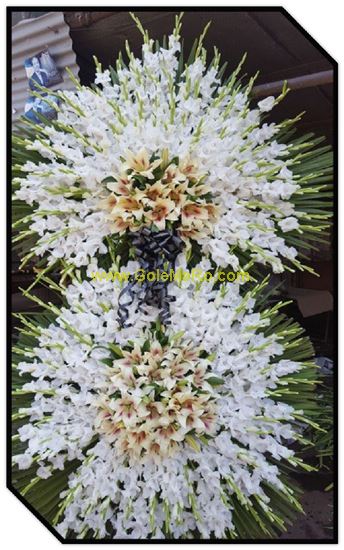 تصویر تاج گل 250