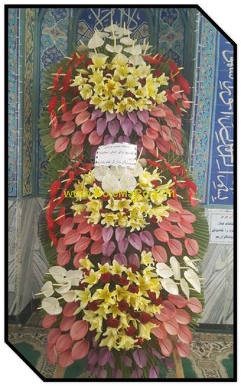 تصویر تاج گل 301