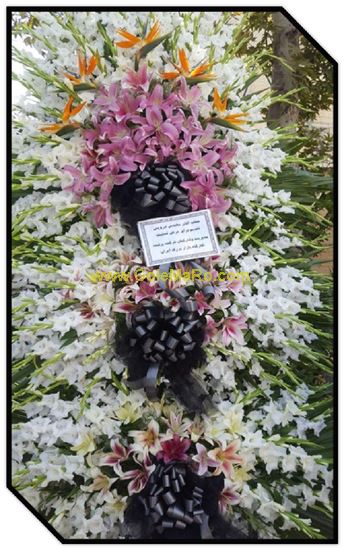 تصویر تاج گل 302