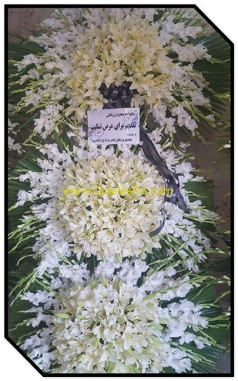 تصویر تاج گل 304