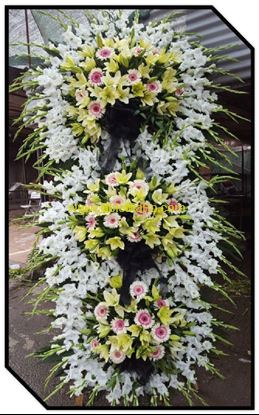 تصویر تاج گل 305