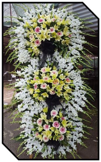 تصویر تاج گل 305