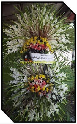 تصویر تاج گل 240