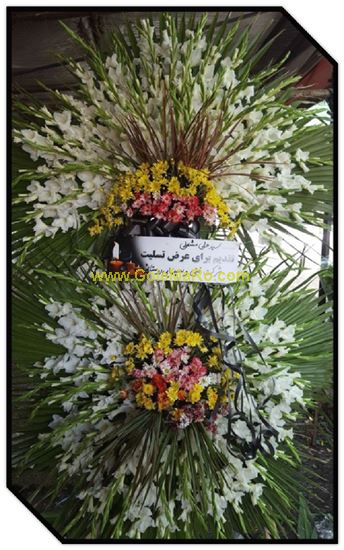 تصویر تاج گل 240