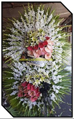 تصویر تاج گل 237