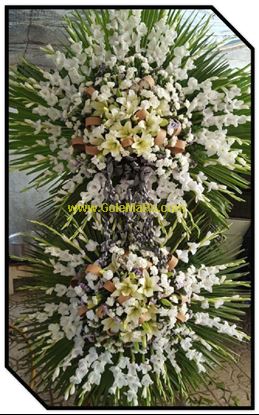 تصویر تاج گل 234