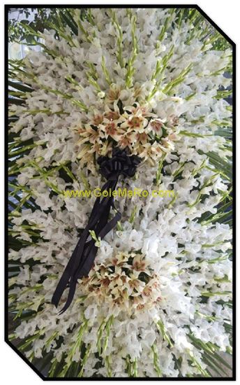 تصویر تاج گل 232