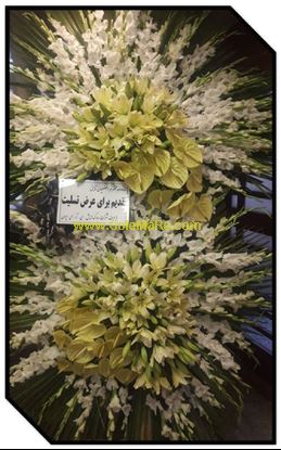 تصویر تاج گل 231