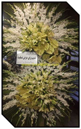 تصویر تاج گل 231