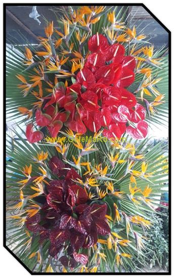 تصویر تاج گل 230