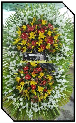 تصویر تاج گل 221