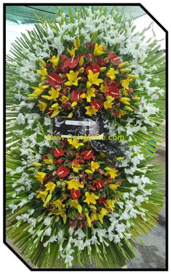 تصویر تاج گل 221