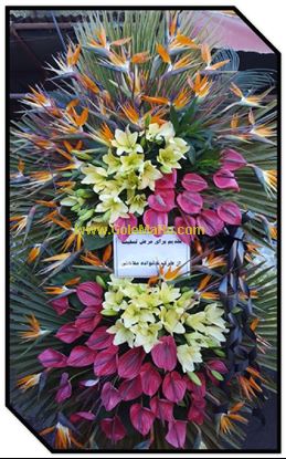 تصویر تاج گل 220