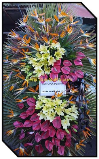 تصویر تاج گل 220