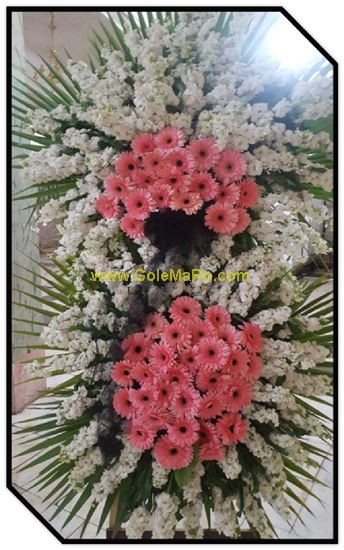 تصویر تاج گل 218