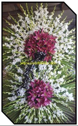 تصویر تاج گل 216