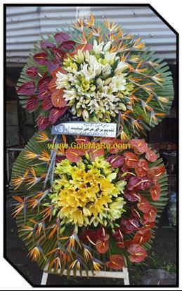 تصویر تاج گل 214