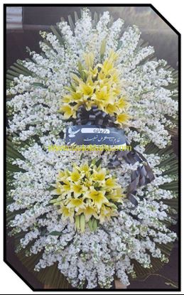 تصویر تاج گل 213