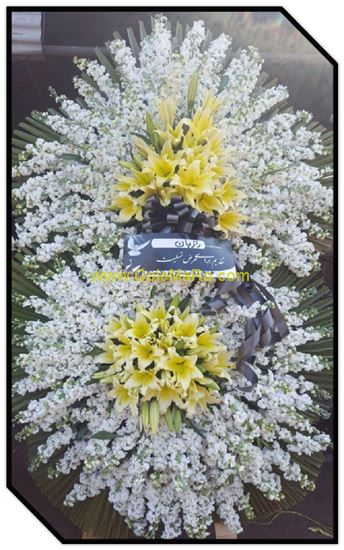 تصویر تاج گل 213