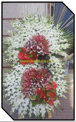 تصویر تاج گل 210