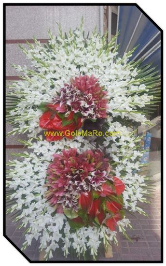 تصویر تاج گل 210